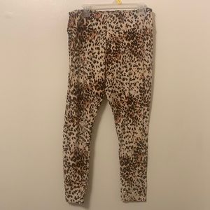 Tall an Curvy lularoe